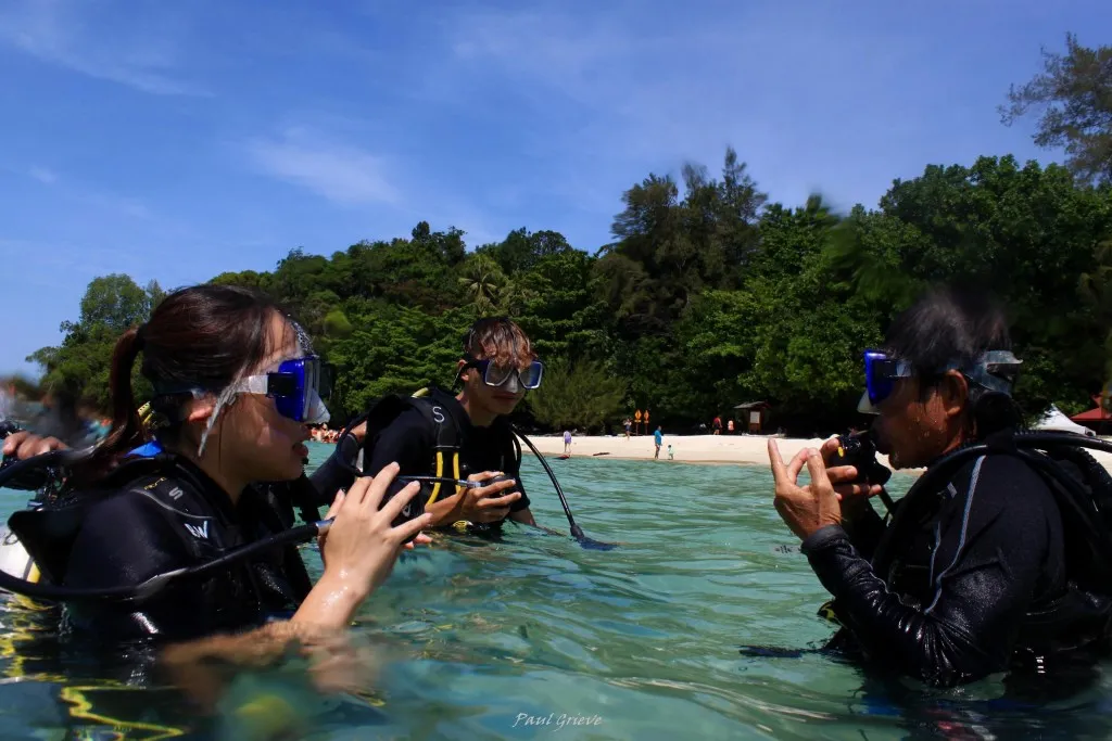 Students learning scuba diving with an instructor in the water